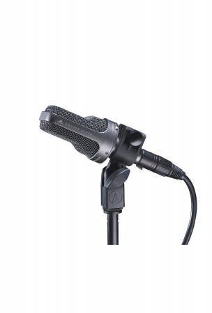 Audio-Technica AE3000 по цене 39 155.20 ₽