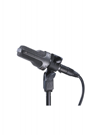 Audio-Technica AE3000 по цене 39 200 ₽