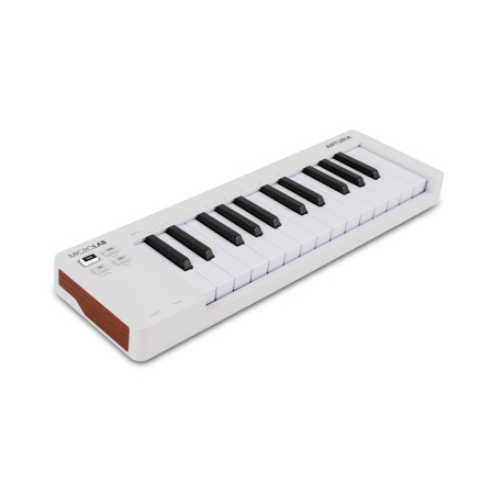 Arturia MicroLab MK3 White по цене 8 000 ₽