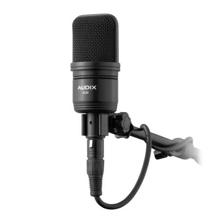 Audix A131 по цене 48 450 ₽