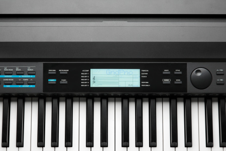 Kurzweil KA120 LB по цене 103 750 ₽
