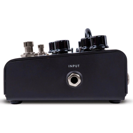 Blackstar Dept. 10 Dual Distortion по цене 28 040.00 ₽