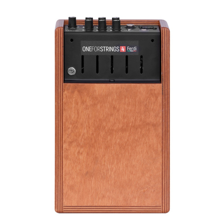 Acus One ForStrings 4 Ferdi Wood по цене 38 250 ₽