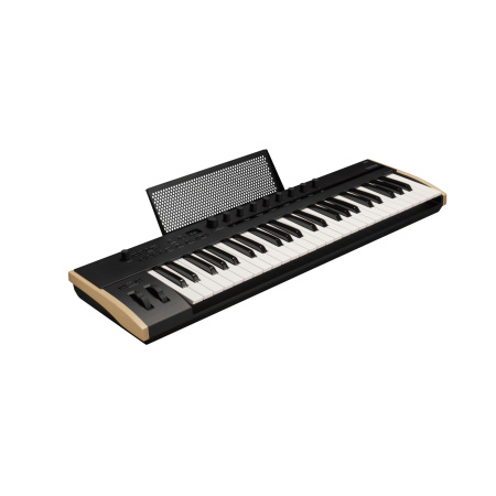 Korg Keystage 49 по цене 66 000 ₽