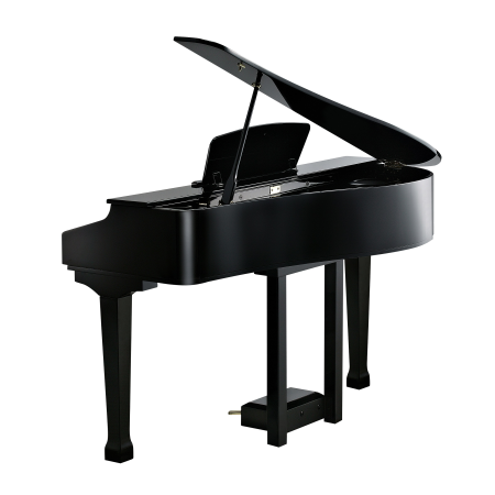 Kurzweil KAG100 EP по цене 251 450 ₽