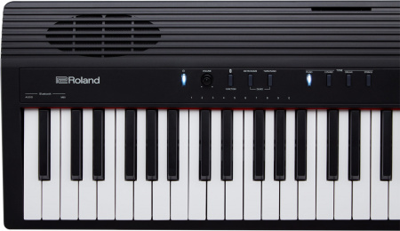 Roland GO-88P по цене 62 990 ₽