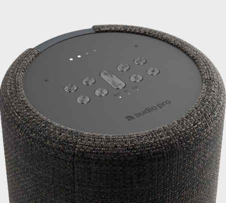 Audio Pro G10 Dark Grey по цене 20 000 ₽