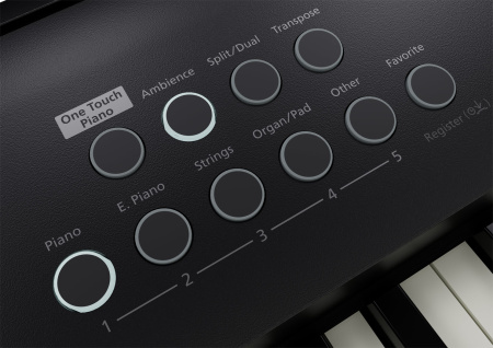Roland FP-E50 по цене 114 100 ₽