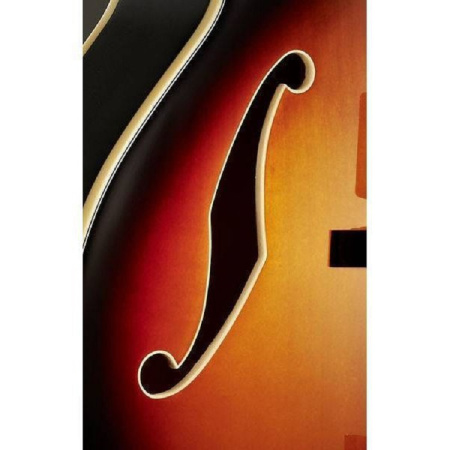 Ibanez AF75 BS по цене 61 200.00 ₽