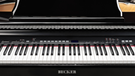 Becker BDGP-1B по цене 143 990 ₽