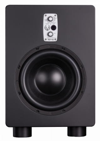 EVE AUDIO TS110 по цене 144 000 ₽
