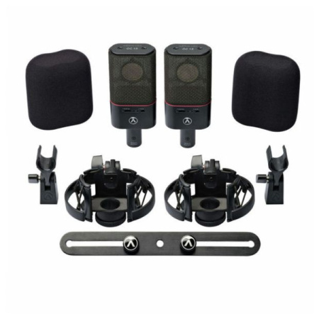 Austrian Audio OC18 Dual Set Plus по цене 220 000 ₽