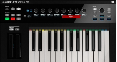 Native Instruments Komplete Kontrol S25 по цене 26 600 руб.