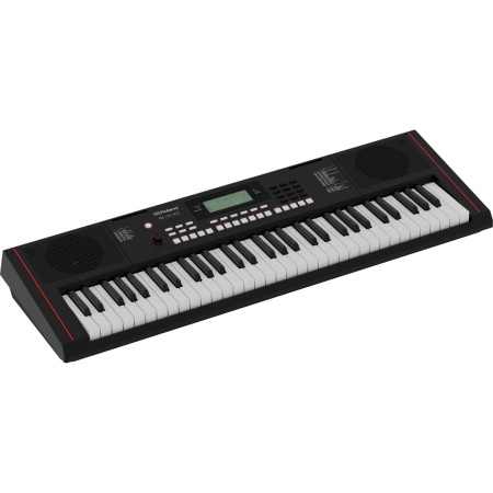 Roland E-X10 по цене 36 150 ₽