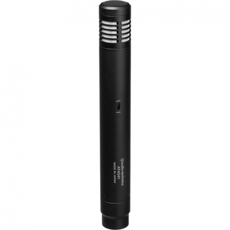 Audio-Technica AT4041 по цене 38 150 ₽