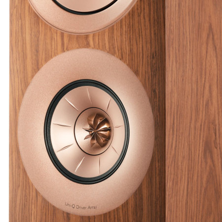 KEF R11 Walnut по цене 660 000 ₽