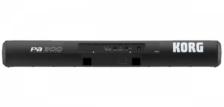 KORG Pa300 по цене 118 000 ₽
