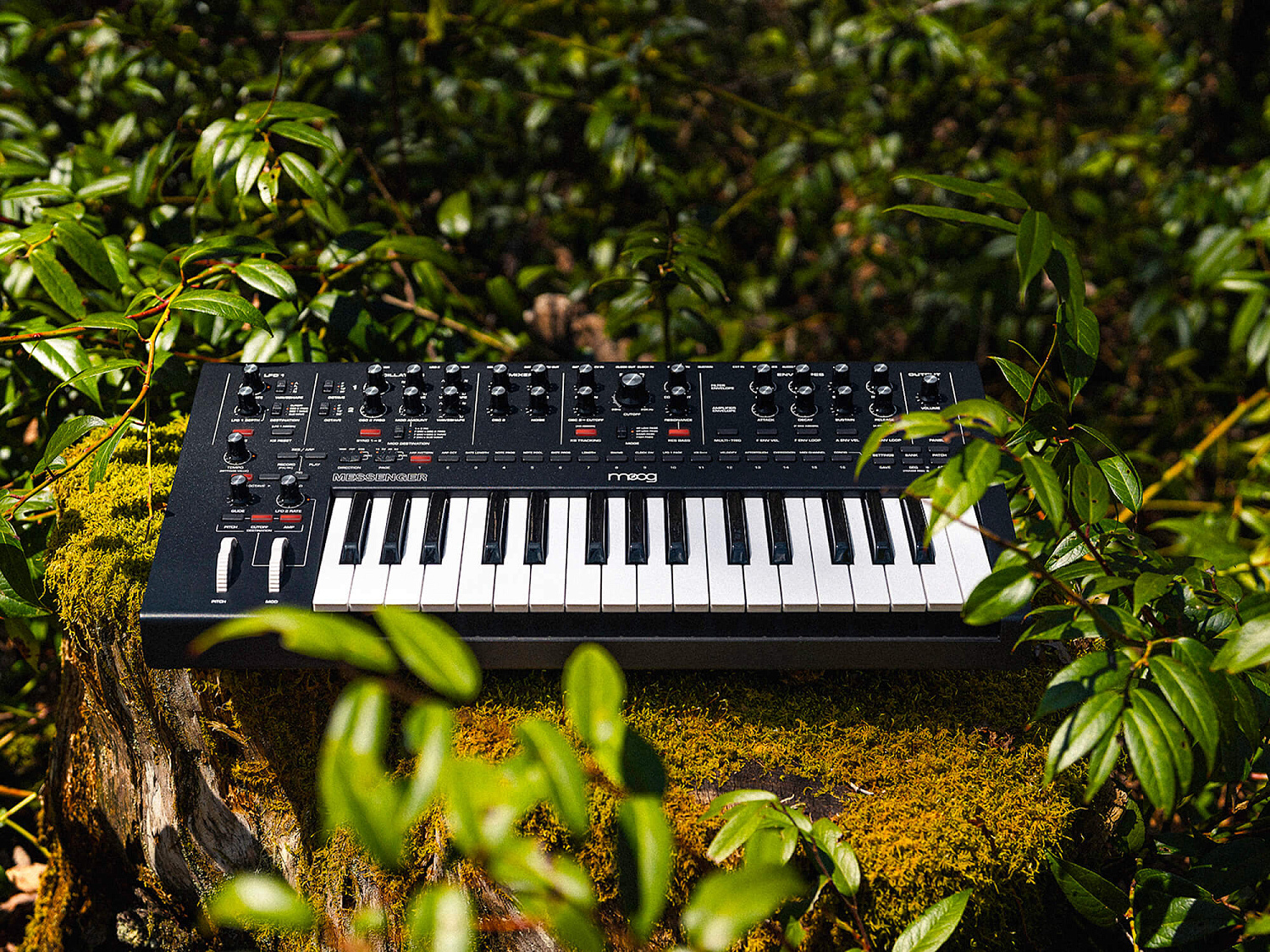 Компания Moog представила свой новый синтезатор