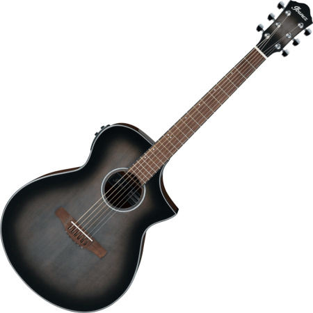 Ibanez AEWC11-TCB по цене 36 750 ₽