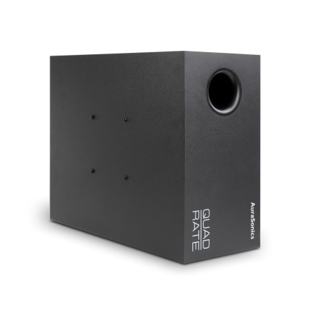AuraSonics Quadrate-BK по цене 35 350 ₽