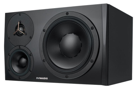 Dynaudio LYD-48 Black Left по цене 179 700 ₽