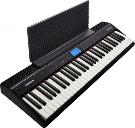 Roland GO-61P по цене 51 200 ₽