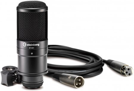 Steinberg UR22 MK2 Recording Pack по цене 39 000 ₽