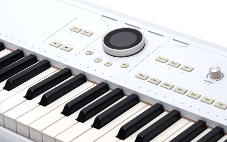 Arturia AstroLab по цене 210 000 ₽