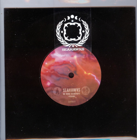 Seahawks - Another Summer With Seahawks