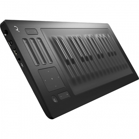 ROLI RISE 25 по цене 84 000 ₽