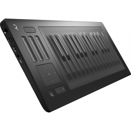 ROLI RISE 25 по цене 84 000 ₽