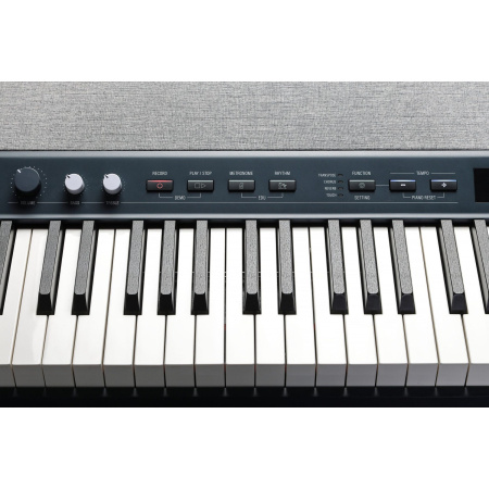 Kurzweil KA P1 LB по цене 86 600 ₽