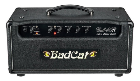 Bad Cat Cub 40 Reverb USA Player Series Head по цене 205 270 ₽