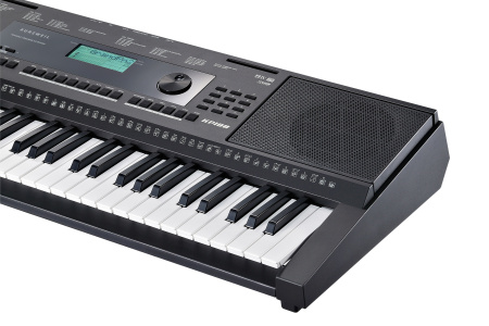 Kurzweil KP100 LB по цене 29 500 ₽