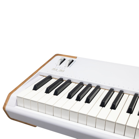Arturia AstroLab 88 по цене 255 000 ₽