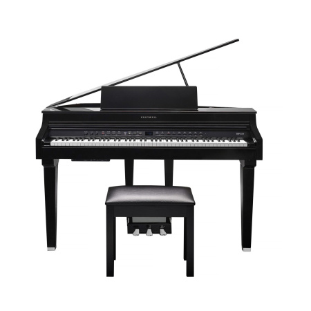 Kurzweil CUP G1W BP по цене 361 860 ₽