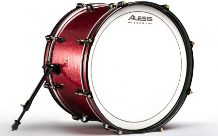 Alesis Strike Pro Special Edition по цене 345 400 ₽