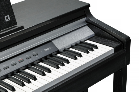 Kurzweil CUP P1 SR по цене 173 700 ₽