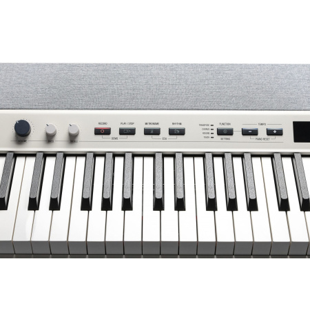 Kurzweil KA P1 WH по цене 86 600 ₽