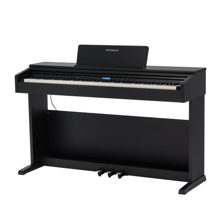 Rockdale Etude 256 BK по цене 59&nbsp;900.00 ₽