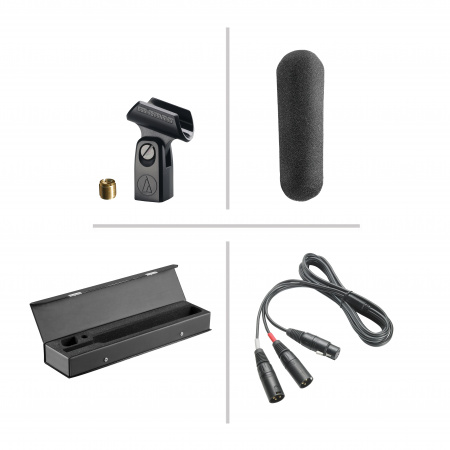 Audio-Technica BP4029 по цене 140 050 ₽