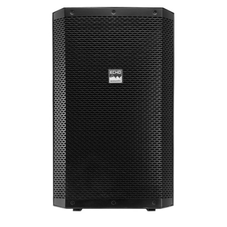 Echo Acoustic EX115P по цене 33 950.00 ₽