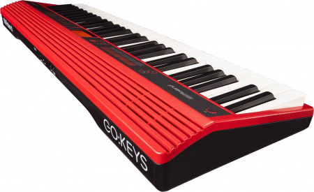 Roland GO-61K по цене 55 000 ₽