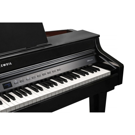 Kurzweil CUP G1W BP по цене 361 860 ₽