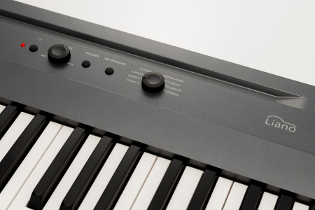 Korg L1 Liano MG по цене 46 000 ₽