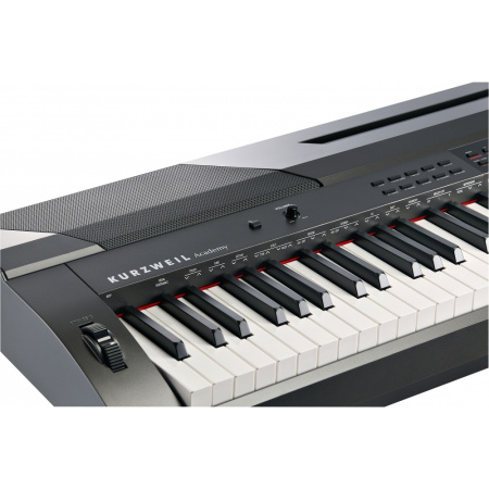 Kurzweil KA90 LB по цене 65 000 ₽