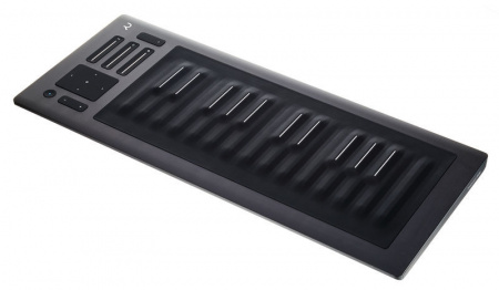 ROLI RISE 25 по цене 84 000 ₽