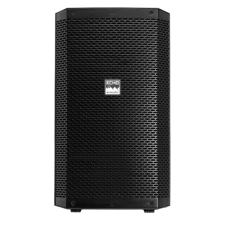 Echo Acoustic EX112P по цене 30 550 ₽