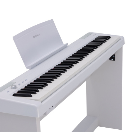 Rockdale Nocturne S 256 W по цене 49&nbsp;990.00 ₽