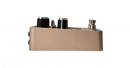 Universal Audio UAFX Golden Reverberator по цене 58 250 ₽